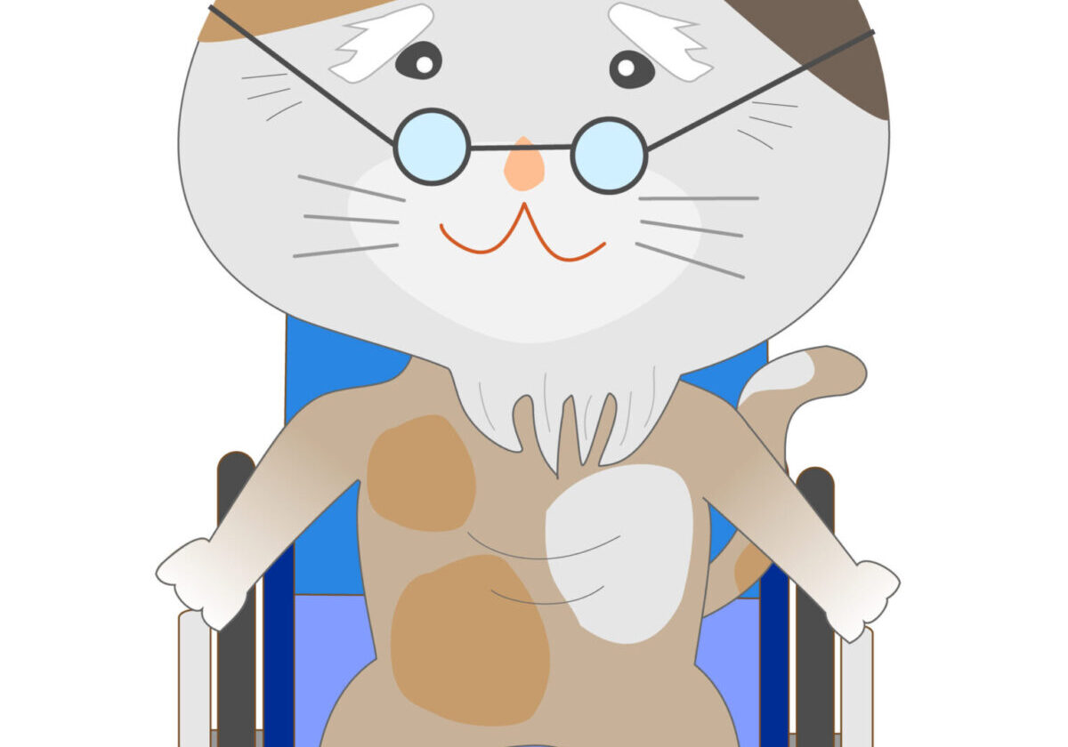 Cartoon cat in a wheelchair with glasses, representing senior lifestyle and aging population.