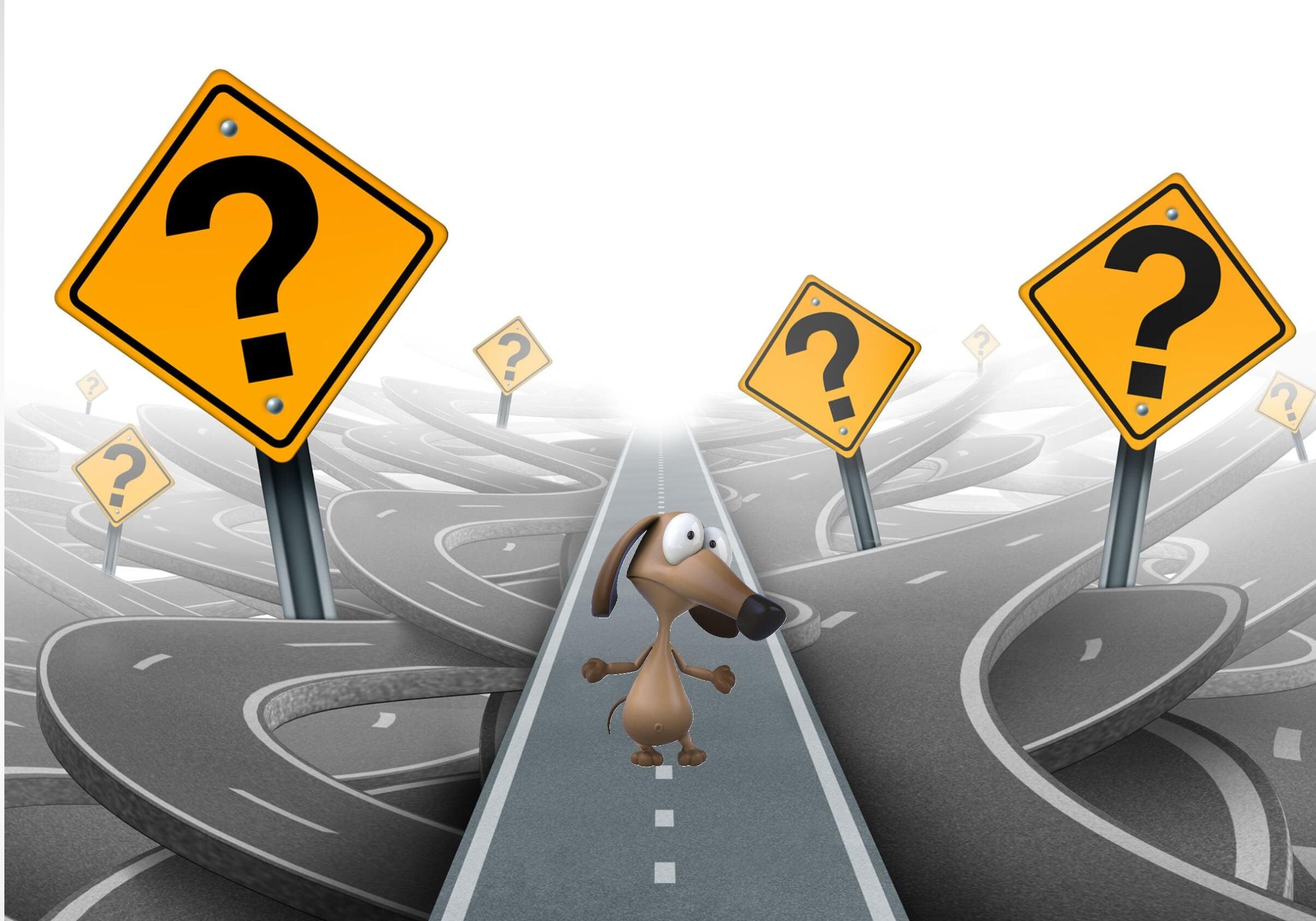 Cartoon dog on road with question signs